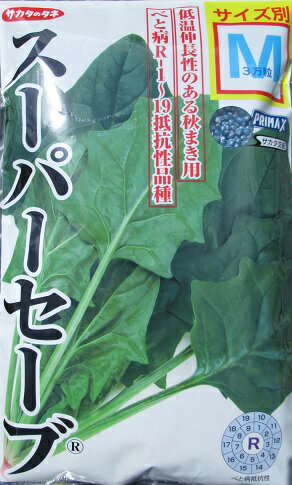 サカタ交配　スーパーセーブ法蓮草　サカタのタネのホウレンソウ品種