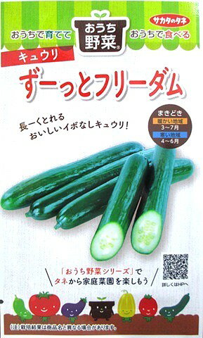 ずーっとフリーダムキュウリは、フリーダムシリーズの長期収穫タイプです。 サカタのタネの「おうち野菜シリーズ」です。 フリーダムの特有の甘味とみずみずしさもあります。 うどんこ病やべと病にも強いので比較的安心して栽培できます。 家庭菜園にすごくおすすめのキュウリ品種です。 注意点1は、長期収穫タイプなので肥料切れを起こさないように適度に追肥が必要です。 注意点2は、20cmから22cm位で収穫してもらいたいことです。