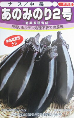一代交配　あのみのり2号ナス（100ヶ）...