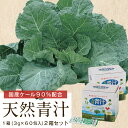 ケール 青汁 健康 子ども 野菜不足天然青汁 2箱 120袋【 10%OFF 送料無料 】 ケール90％配合 緑黄色野菜 粉末タイプ サッと水に溶ける ビタミンU フリーズドライ 製法で 酵素 たっぷり 非加熱