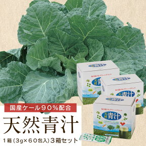 ケール 青汁 健康 子ども 野菜不足天然青汁 3箱 180袋【 15%OFF 送料無料 】 ケール90％配合 緑黄色野菜 粉末タイプ サッと水に溶ける ビタミンU フリーズドライ 製法で 酵素 たっぷり 非加熱 オーガニック