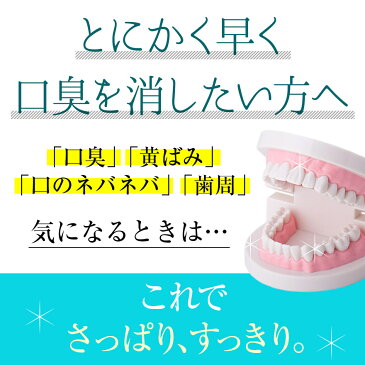 楽臭ハミガキ 120g 4本 ( 10%OFF 送料無料 ) 口臭 歯磨き粉 口臭ケア 口臭予防 口臭対策 歯みがき粉 オーラルケア 歯みがき ハミガキ粉 ホワイトニング なたまめ 柿渋 プロポリス クマザサ カテキン 歯周 消臭 エチケット