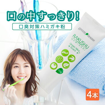 楽臭ハミガキ 120g 4本 ( 10%OFF 送料無料 ) 口臭 歯磨き粉 口臭ケア 口臭予防 口臭対策 歯みがき粉 オーラルケア 歯みがき ハミガキ粉 ホワイトニング なたまめ 柿渋 プロポリス クマザサ カテキン 歯周 消臭 エチケット