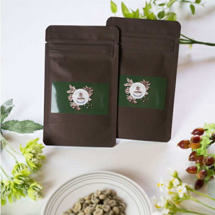 生coffee 10g インスタントコーヒー 珈琲 コーヒー coffee グリーンコーヒー GREEN IMPACT 非焙煎豆 焙煎豆