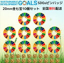 【楽天1位】 SDGs ピンバッジ 1個 国連本部公式最新仕様 25mm 20mm 小さめ SDGsバッジ 丸み サステナブル 17 目標 バッチ バッヂ sdgs