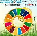 【国連本部公式最新仕様】 SDGs バッジ ミニ【直径20mm小さめ】1個セット 金色疑似七宝焼 sdgsバッチ ピンバッジ ピンバッチ SDGs 国連バッヂ ピンバッジ 企業・会社・団体で急速に採用が始まっています 留め具 3個付き