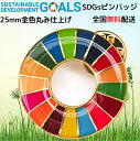 SDGs バッジ 25mm 金色丸み仕上げ 企業・会社・団体で急速に採用が始まっています sdgsバッチ ピンバッジ ピンバッチ SDGs 帽子 バッグにも最適 かわいい 留め具3個付き