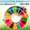 【楽天1位】 SDGs ピンバッジ 1個 国連本部公式最新仕様 25mm 20mm 小さめ SDGsバッジ 丸み サステナブル 17 目標 バッチ バッヂ sdgs