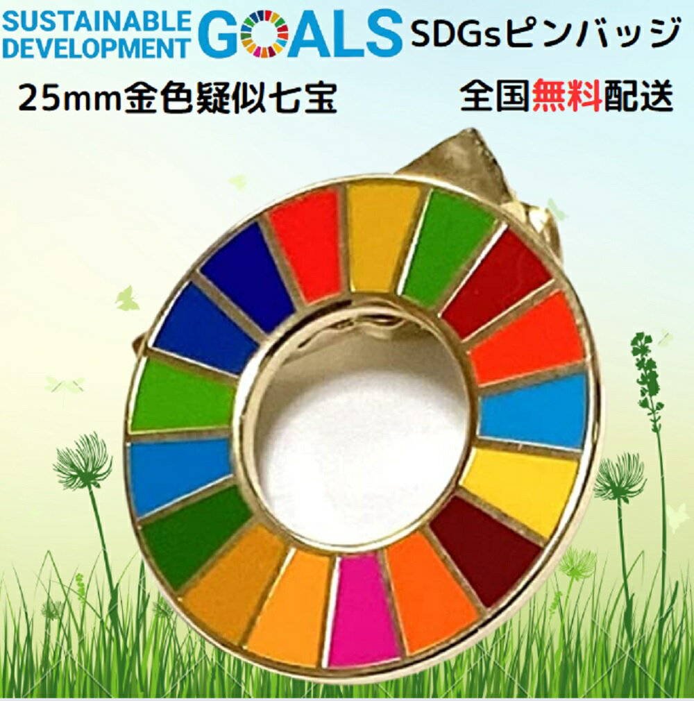 SDGs バッジ 本物 ピンバッジ 正規品 国連本部限定 丸みのあるタイプ 予備の留め具付き SDGsバッジ 17の目標 バッチ バッヂ