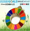 ֡ڹϢǿ/ܥб1 å׼ 25mm ⿧Ƥ SDGs Хå ԥХå ԥХå sdgs ǥ ȡҡΤǵ®˺ѤϤޤäƤޤ Ϥ˷򤢤ʤॿספ򸫤