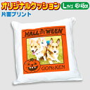 オリジナルクッション【Lサイズ】 片面プリント ハロウィン 名入れ 写真プリント 写真入 クッションカバー 45cm