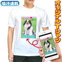 オリジナルTシャツ 写真プリント ドライTシャツ 半袖 おもしろTシャツ 結婚祝 宴会 卒業記念 誕生日 チームTシャツ 1枚からOK 男女兼用