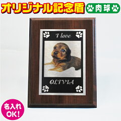 https://thumbnail.image.rakuten.co.jp/@0_mall/green-n-shop/cabinet/06305746/imgrc0084931181.jpg