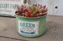 多肉植物寄せ植えペイント缶(MS)【LE-PAC】当店オリジナル