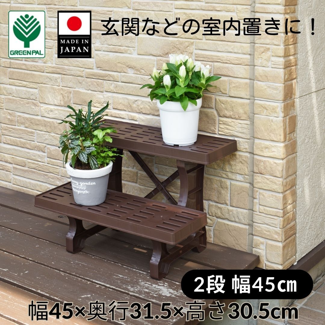 楽天市場】多肉植物 棚(生産国日本)の通販 楽天市場】多肉植物 棚(生産国日本)の通販