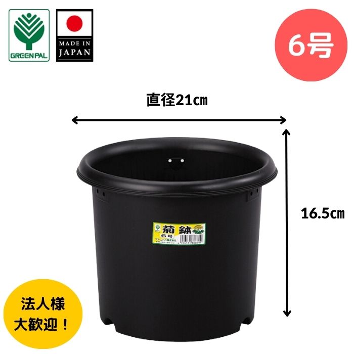 【20日までP5倍 初夏セール】【グリーンパル】菊鉢6号 菊鉢 6号 丈夫 プラスチック 菊 プランター 通気性 黒 菊鉢 植え 植木 鉢 専用 軽い 園芸 ガーデニング 家庭菜園 観葉植物 多肉 植物 ア…