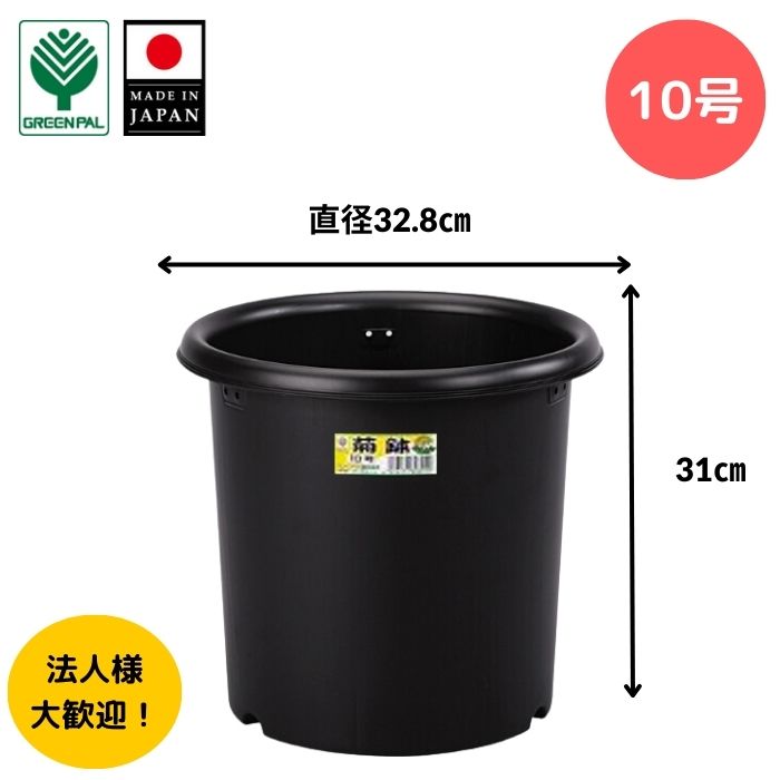 【20日までP5倍 初夏セール】【グリーンパル】菊鉢10号 菊鉢 10号 丈夫 プラスチック 菊 プランター 通気性 黒 菊鉢 植え 植木 鉢 専用 軽い 園芸 ガーデニング 家庭菜園 観葉植物 多肉 植物 …