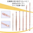 br21#耳かき 日本国内当日発送 6本セット 耳くそ 耳垢 みみかき 耳掃除 大きい 小さい 手入れ ステンレス製 自宅用 ポイント消化 専用ケース付き 送料...