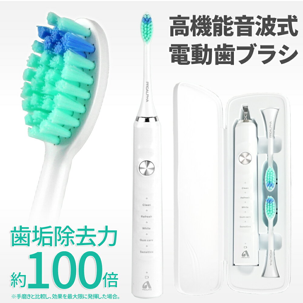 電動歯ブラシ 歯ブラシ ハブラシ 音波歯ブラシ ソニック USB充電式 IPX7防水 5つのモード 携帯便利 電動歯磨き オートタイマー機能搭載 日本語説明書付 メーカー一年間保障