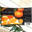 タンカン 苗木 垂水1号 15cmポット苗 たるみ1ごう たんかん 苗 短桶 gv