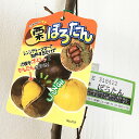 商品画像2
