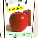 リンゴ 苗木 紅玉 12cmポット苗 こうぎょく りんご 苗 林檎 gv