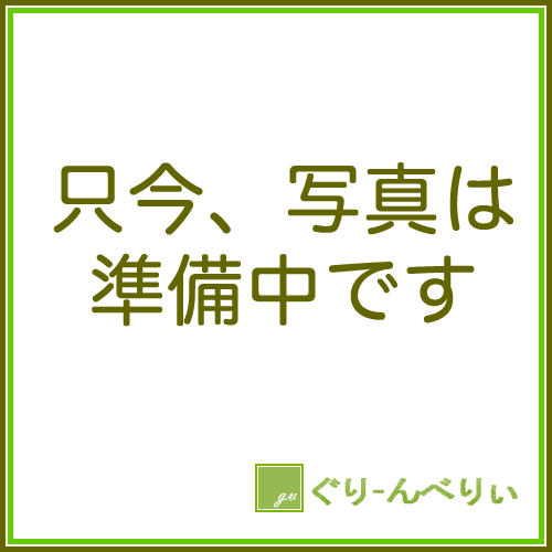 ブルーベリー 苗木 ブリジッタ 13.5cmポット苗 ノーザンハイブッシュ系 ブルーベリー 苗 gv