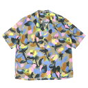 極美品△DIOR ALEX FOXTON ディオールオム アレックス フォックストン 20SS 013C549B4797 ペイントフラワーデザイン ロゴ刺繍 オ...