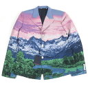 極美品□LOUIS VUITTON ルイヴィトン 22SS LV ランドスケープ 裏地シルク混 Amen Break ピークドラペル テーラードジャケット ピンク系 50 イタリア製 正規品 メンズ【中古】