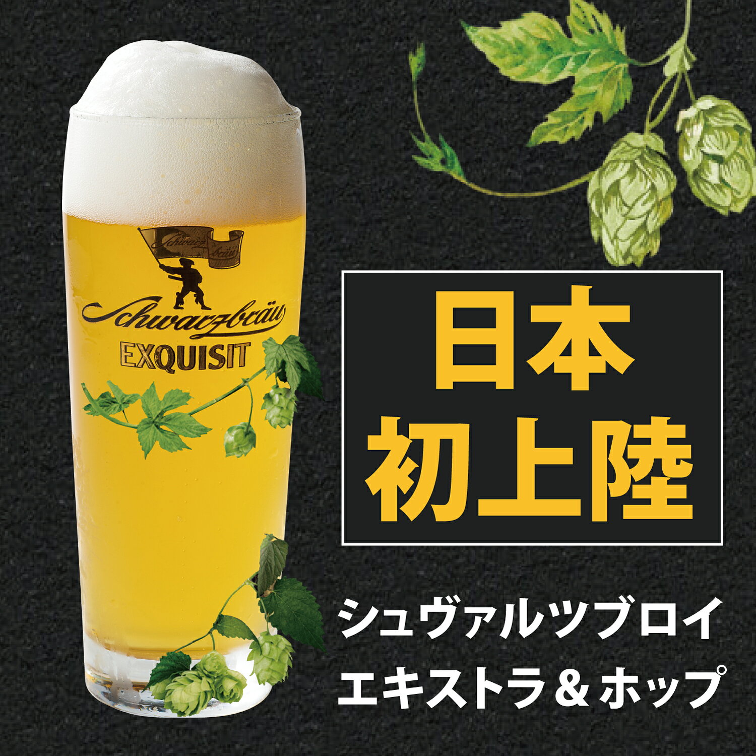 【日本初上陸！】シュバルツブロイ Ex&Hop ペットボトル [ 500ml×6本 ]　ドイツ クラフトビールのサムネイル