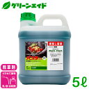 ＼GW限定 2点以上お買い上げで全品5 OFFクーポン発行中 ／除草剤 バスタ液剤 5L BASF 畦畔 水稲 畑作 家庭菜園 スギナ オオアレチノギグ