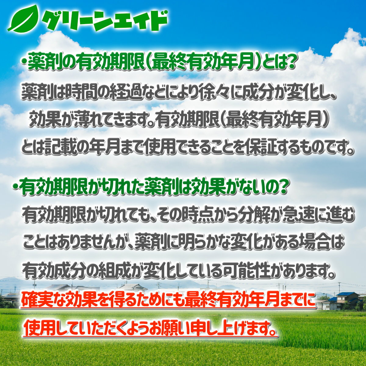 ���������ꡪ���ʥݥ����3�ܥ����ڡ���»��桪������� �����Υ�EX 3kg ��ͧ���ر�� ���� ���� ®�� ��³