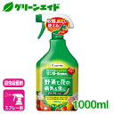 ＼4/27(土)9:59まで！エントリーでP10倍キャンペーン実施中！／野菜 殺虫殺菌剤 サンヨール液剤AL 1000ML エムシー緑化 家庭菜園 園芸 ガーデニング 初心者向け ビギナー向け