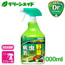 \明日開催!購入点数に応じて使える最大10%OFFクーポン発行中!/野菜 殺虫剤 殺菌剤 ベニカグリーンVスプレー 1000ml 住友化学園芸 家庭菜園 園芸 アブラムシ うどんこ病