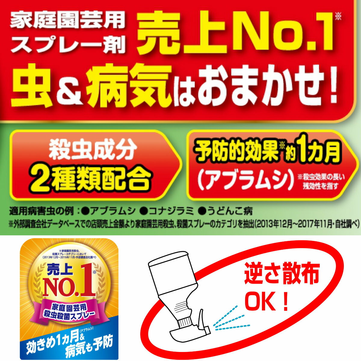 �����ָ��ꡪ���������˱����ƻȤ������10%OFF�����ݥ�ȯ���桪������� ���ݺ� �٥˥�X�ե����󥹥ץ졼 1000ml ��ͧ���ر�� �����ǥ˥� ��� ���տ�ʪ �ӥ��ʡ����� �鿴�Ը���