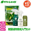 ＼GW限定!2点以上お買い上げで全品5%OFFクーポン発行中!／【送料無料】4点セット MY PLANTS 殺虫剤 肥料 培養土 観葉植物育成入門セット 住友化学園芸 観葉植物 園芸 ガーデニング ビギナー 初…