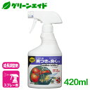 成長調整剤 トマト トマトトーンスプレー 420ml 住友化学園芸 果実 生育 促進 ビギナー向け 初心者向け その1