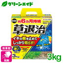 除草剤 粒剤 草退治E粒剤 3KG 住友化学園芸 スギナ メヒシバ カタバミ 庭 路地 駐車場 雑草 速効 緑地 持続