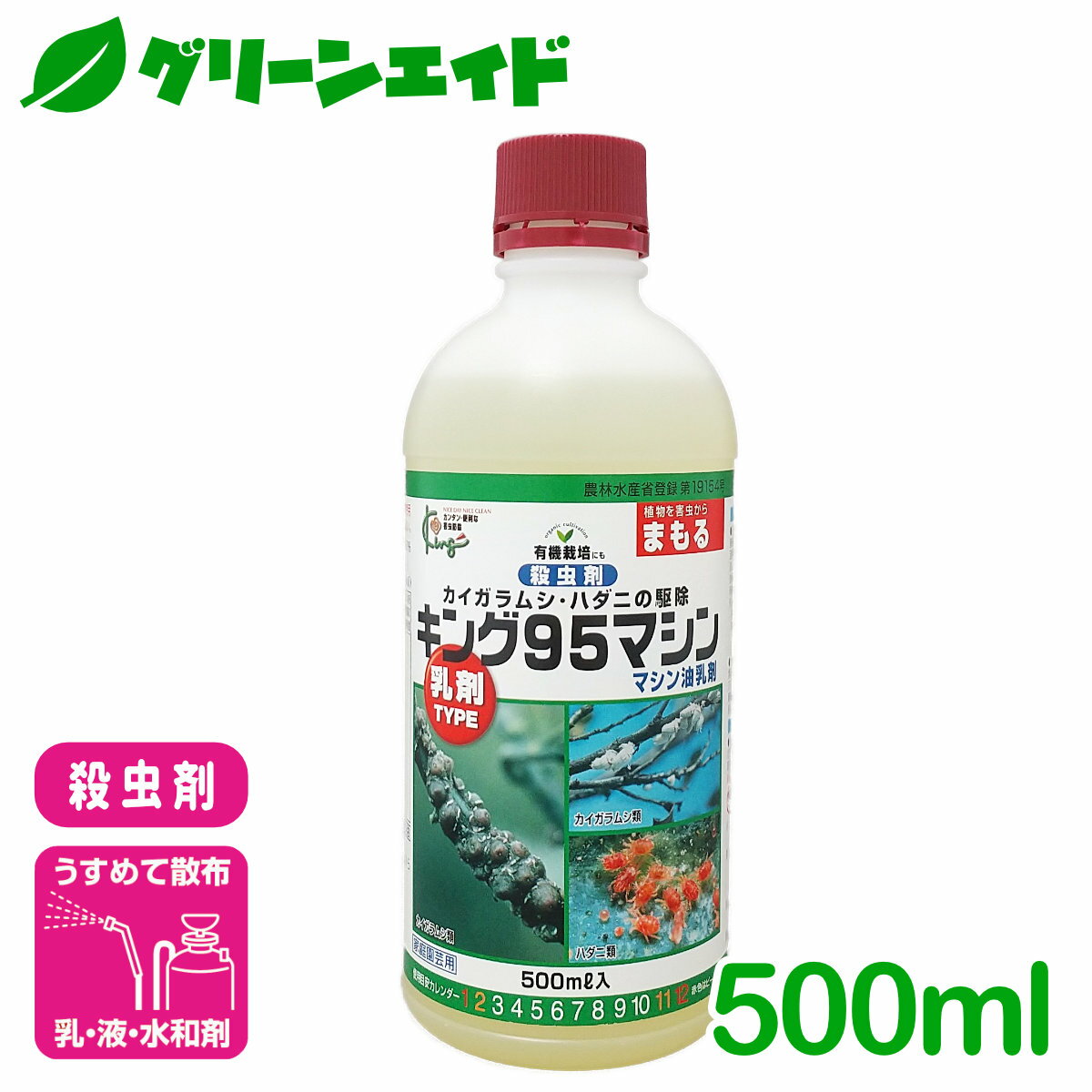 ָ!ȥ꡼P10&500OFFݥȯ桪 ޥ 500ml 󥰱 ॷ ϥ  ǥ˥