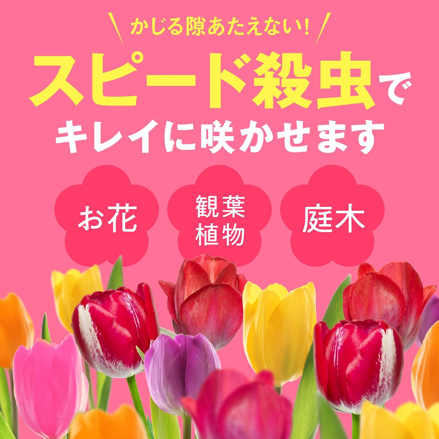 ＼エントリーで全品ポイント10倍キャンペーン実施中！／殺虫殺菌剤 花いとし　エコ...