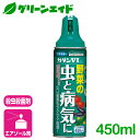 \本日開催!全品ポイント5倍キャンペーン実施中!/殺虫剤 殺菌剤 カダンV2 450ml フマキラー 病気 虫 ガーデニング 園芸 ビギナー向け 初心者向け 応...