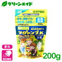 肥料 定番 マグァンプK 大粒 200g ハイポネックス 粒状 園芸 ガーデニング ビギナー向け 初心者向け 応援 応援セール