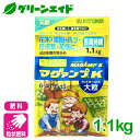 \本日開催!全品ポイント5倍キャンペーン実施中!/肥料 定番 マグァンプK 大粒 1.1kg ハイポネックス 粒状 園芸 ガーデニング ビギナー向け 初心者向け