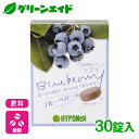 \明日開催!全品ポイント5倍キャンペーン実施予定!/ブルーベリー 肥料 錠剤肥料シリーズ ブルーベリー用 30錠 ハイポネックス 園芸 果物 ガーデニング ビギナー向け 初心者向け