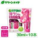 \本日まで!先着限定最大10%OFFクーポン発行中!/活力剤 洋らんの活力アンプル 30ml×10本入 ハイポネックス 園芸 ガーデニング ビギナー向け 初心者向け 応援セール