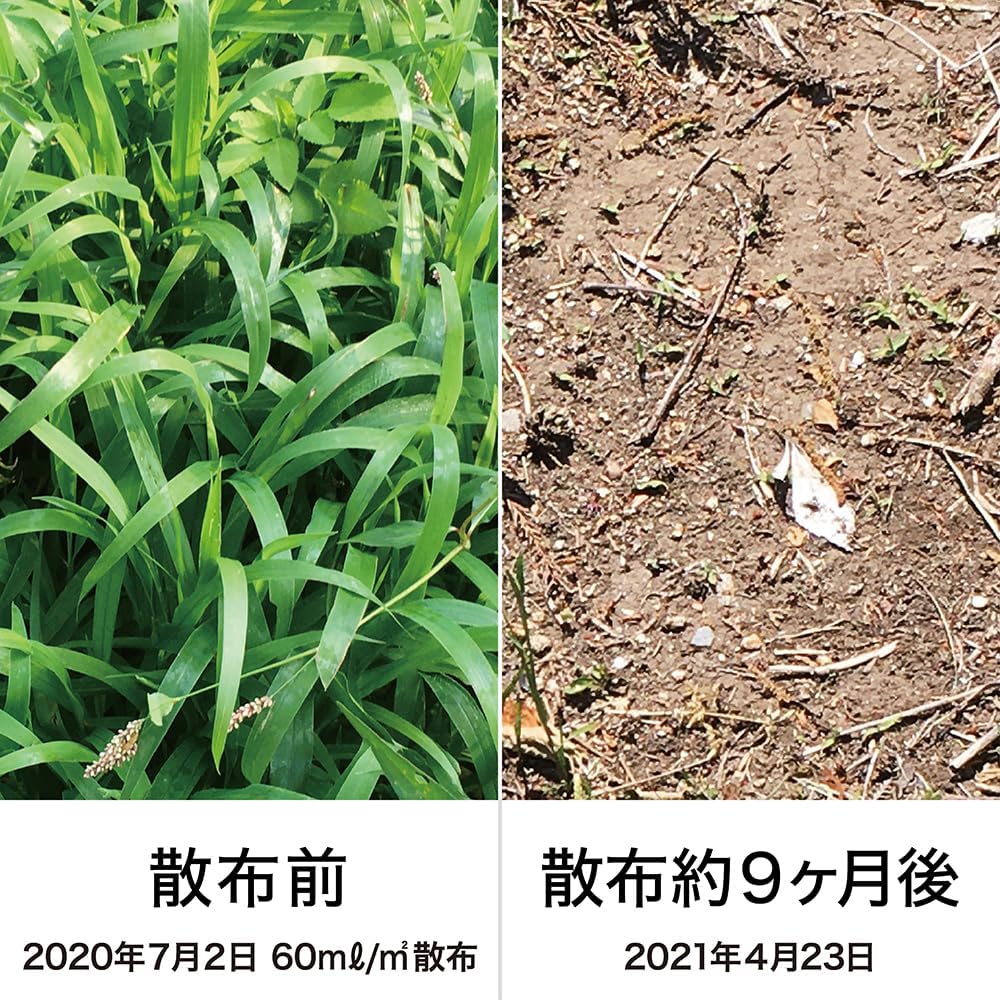 ＼7/19(日)20時開始！全品ポイント7倍キャンペーン実施！／除草剤 ネコソギロング...