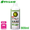 \本日開催!全品ポイント5倍キャンペーン実施中!/液体肥料 野菜 住友液肥1号 葉もの用 800ml レインボー薬品 家庭菜園 園芸 ガーデニング ビギナー向け 初心者向け 応援セール