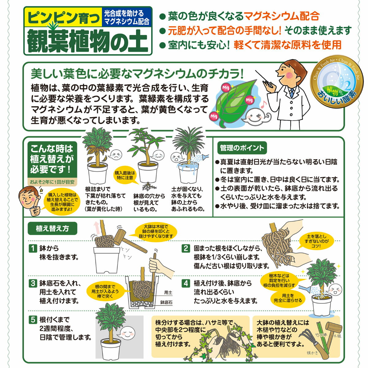 ＼本日限定！先着限定最大10%OFFクーポン発行中！／培養土 観葉植物の土 12L 花ご...