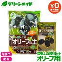 \本日開催!全品ポイント5倍キャンペーン実施中!/【送料無料】 培養土&肥料セット オリーブ用 花ごころ オリーブの土 5L オリーブの肥料 500g 土 粒状肥料 園芸 ガーデニング ビギナー向け 初心者向け