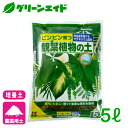 ＼GW限定!2点以上お買い上げで全品5%OFFクーポン発行中!／培養土 観葉植物の土 5L 花ごころ 園芸 ガーデニング ビギナー向け 初心者向け